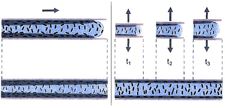 Comparison of the resulting filler orientation between conventional injection molding procedure (left) and additional stroke according to the invention (right). The ratio of core layer (blue) and periphery layer (gray) is significantly increased and a previously only rarely occurring vertical orientation of individual particles (left) is greatly increased through the stroke movement of the tool (right) [image provided by University of Stuttgart].