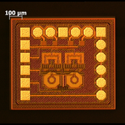 Abbildung 3 Mikroskopaufnahme des Prototyp MMICs. Gut zu sehen sind beide differentiellen Oszillatorkerne. Oben befinden sich die vier Signalausgänge mit 0°, 180°, 90° und 270° Phasenlage. (Janis Wörmann, ILH)